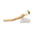 Miswak Toothbrush