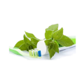 Organic Toothpaste